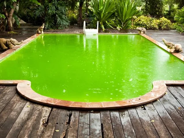 Why does pool water turn green?